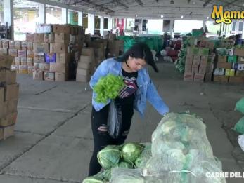 CarneDelMercado - Ксиомара Сото латинка с толстой задницей Colombiana Babe сняла и трахнула возбужденный агент по кастингу